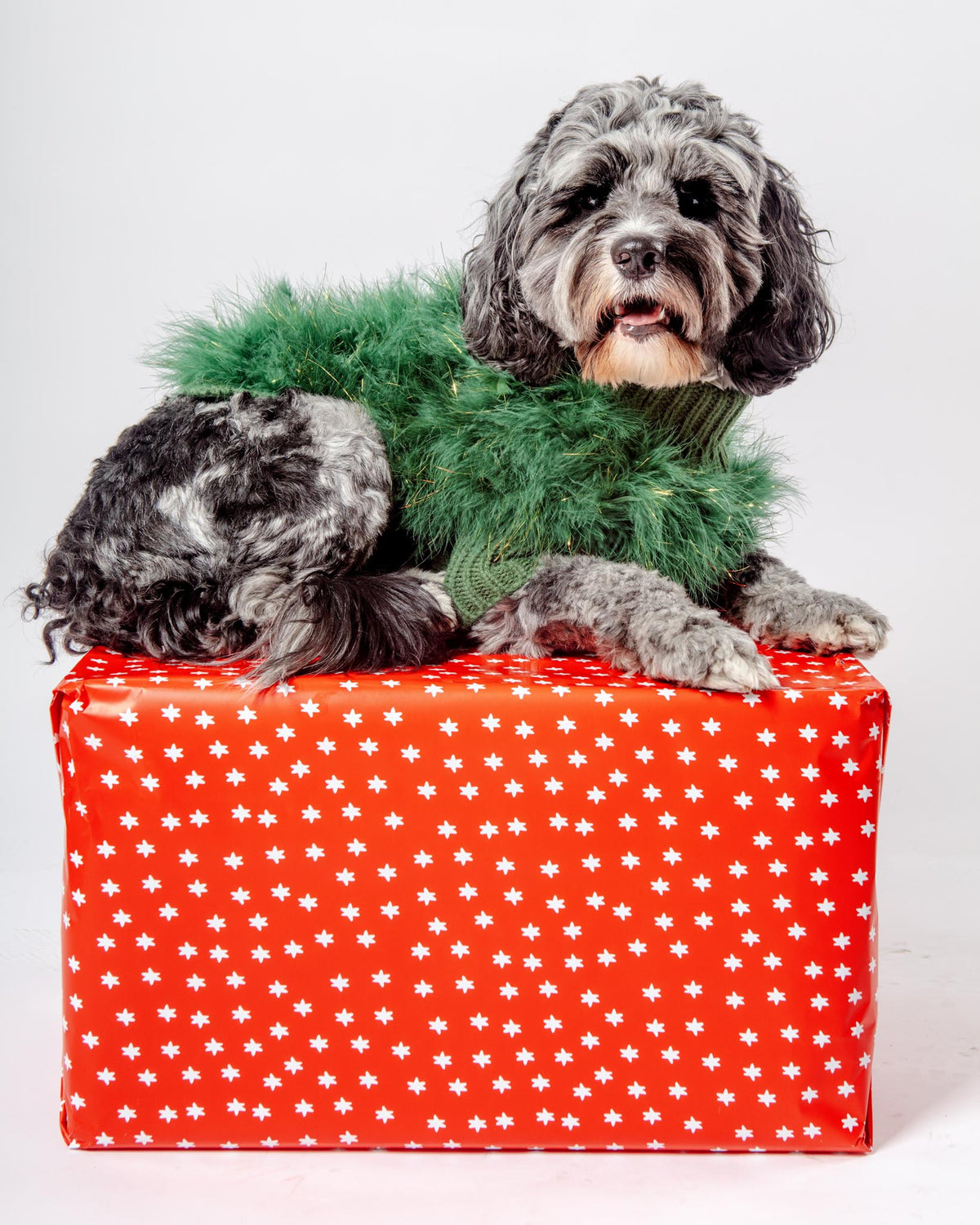 MAXBONE | Christian Cowan Holiday Glitz Jumper Dog Sweater