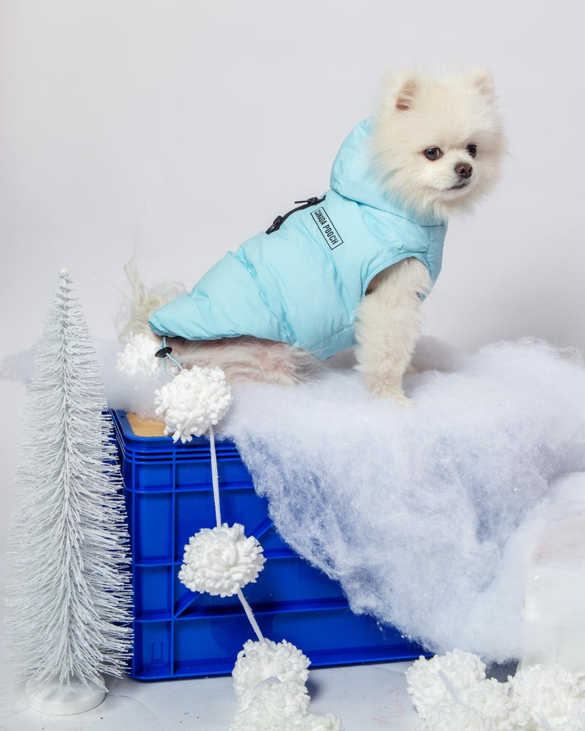Insulated Waterproof Dog Puffer (FINAL SALE) Wear CANADA POOCH   