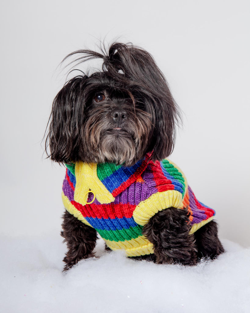 Over The Rainbow Dog Sweater (FINAL SALE) Wear CANADA POOCH   