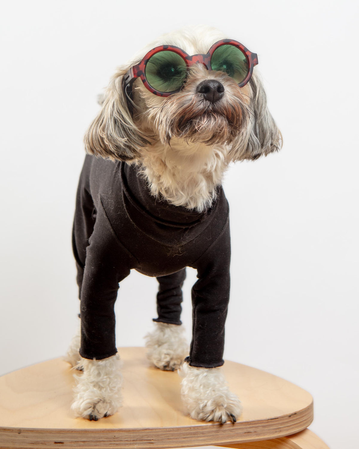 GOLD PAW | Gold Paw Body Warm Onesie Dog Suit in Black (Made in the USA) | DOG & CO. GOLD PAW | Gold Paw Body Warm Onesie Dog Suit in Black (Made in the USA) | DOG & CO.