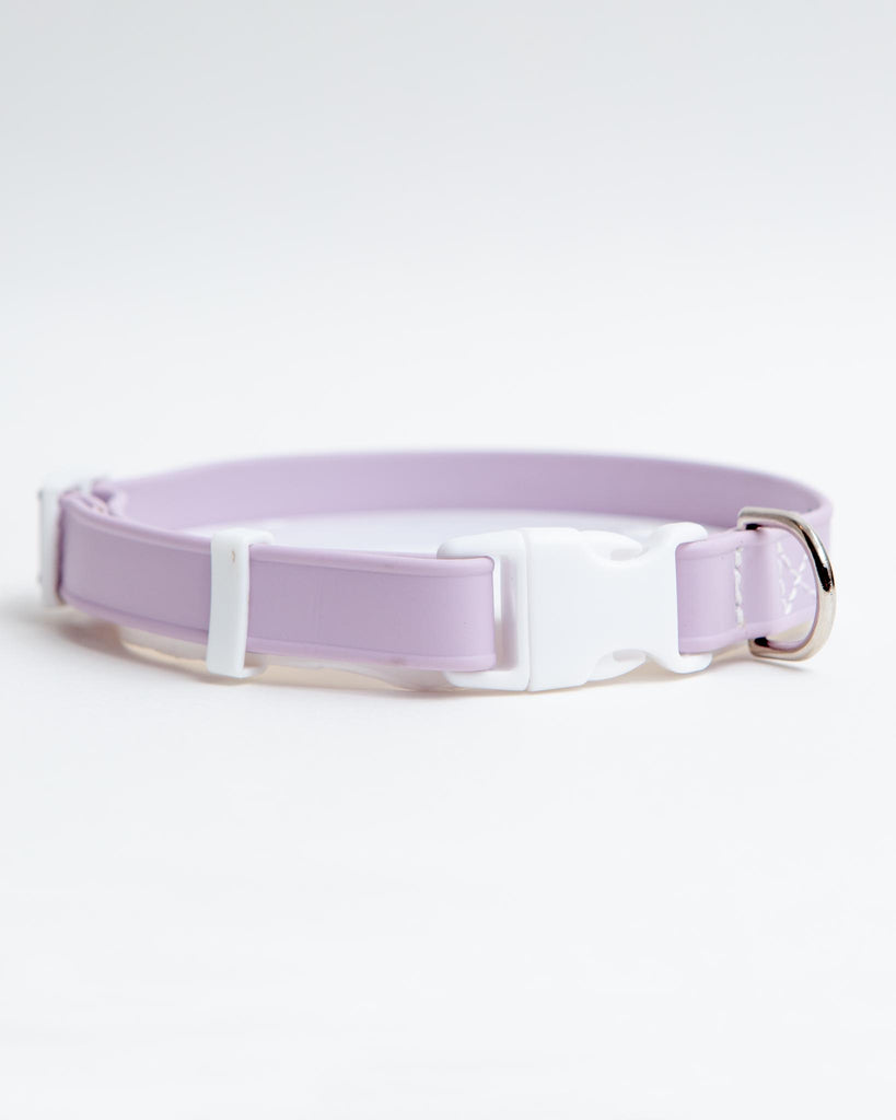 A Walk in the Park Dog Collar in Lilac or Black WALK DOG & CO. COLLECTION Lilac X-Small (8-12") 