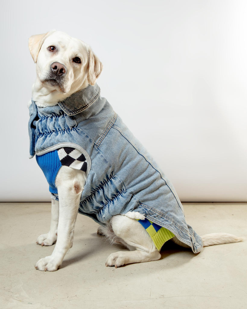 Denim Shearling Dog Jacket in Light Wash (FINAL SALE) Wear GF PET   