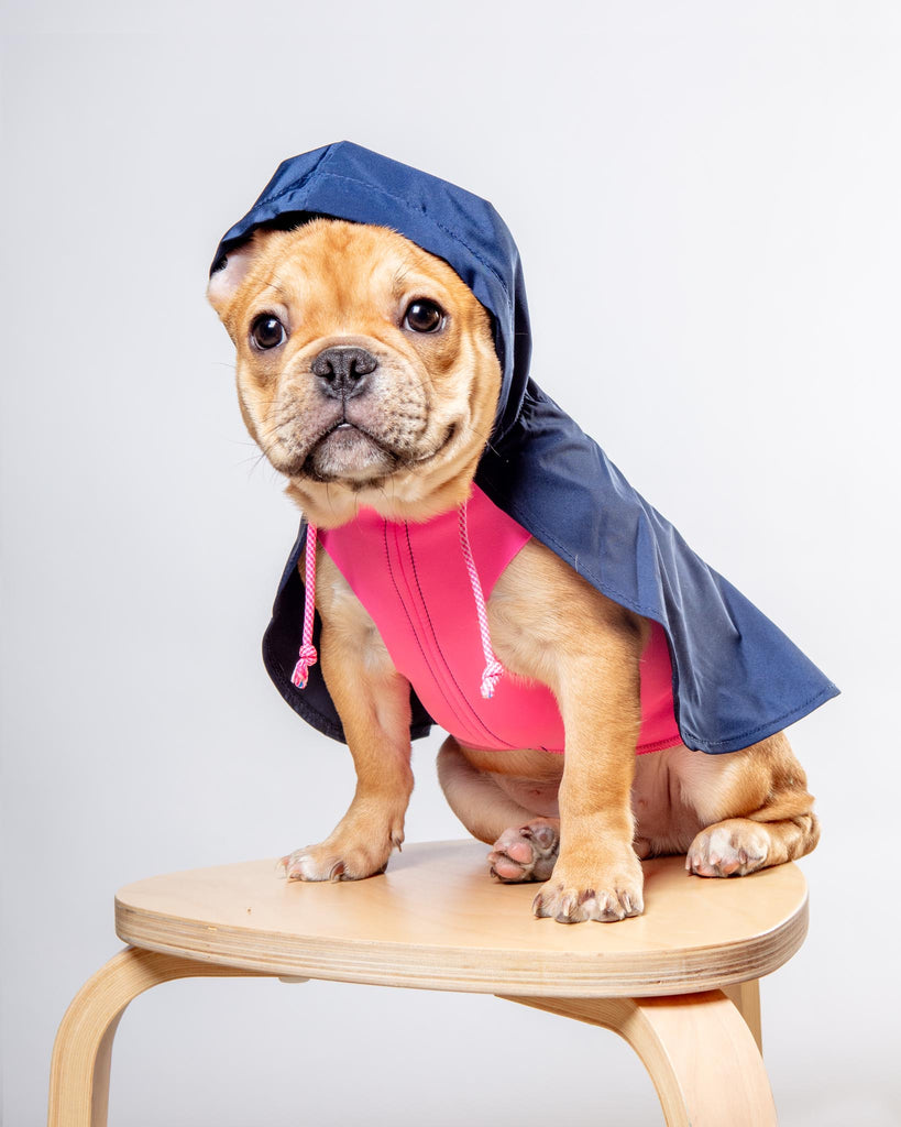 Action Jacket Pull-On Raincoat in Navy + Neon Pink (Made in NYC) Wear DOG & CO. COLLECTION   