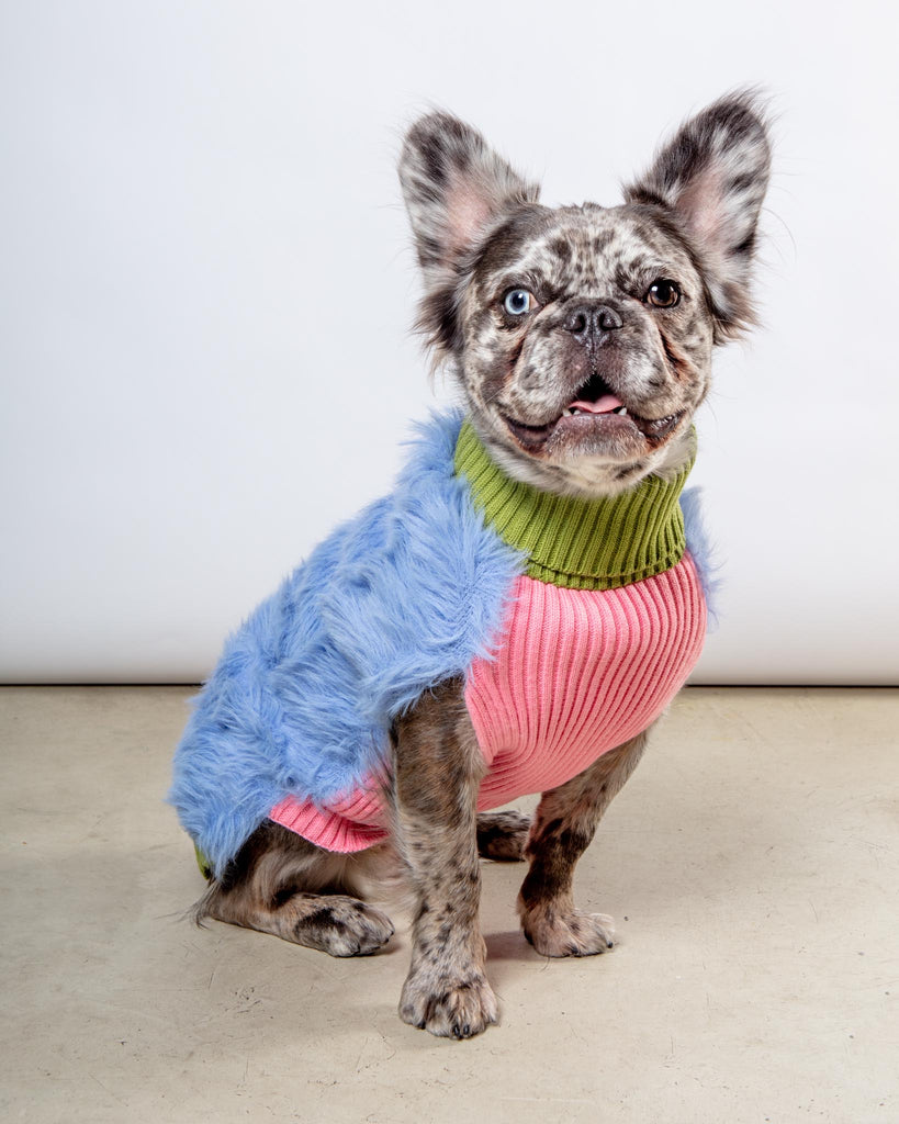 Faux Fur Dog Sweater (FINAL SALE) Wear VERLOOP   