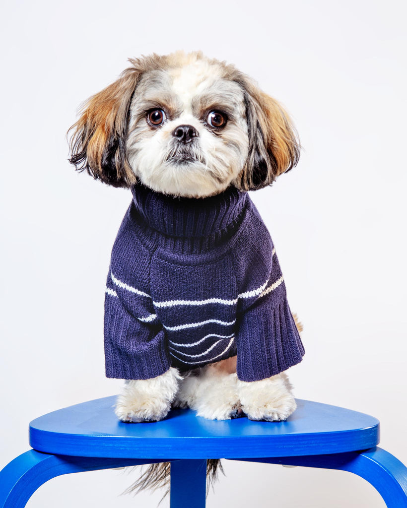 Mariner Stripe Dog Sweater Wear THE FOGGY DOG   
