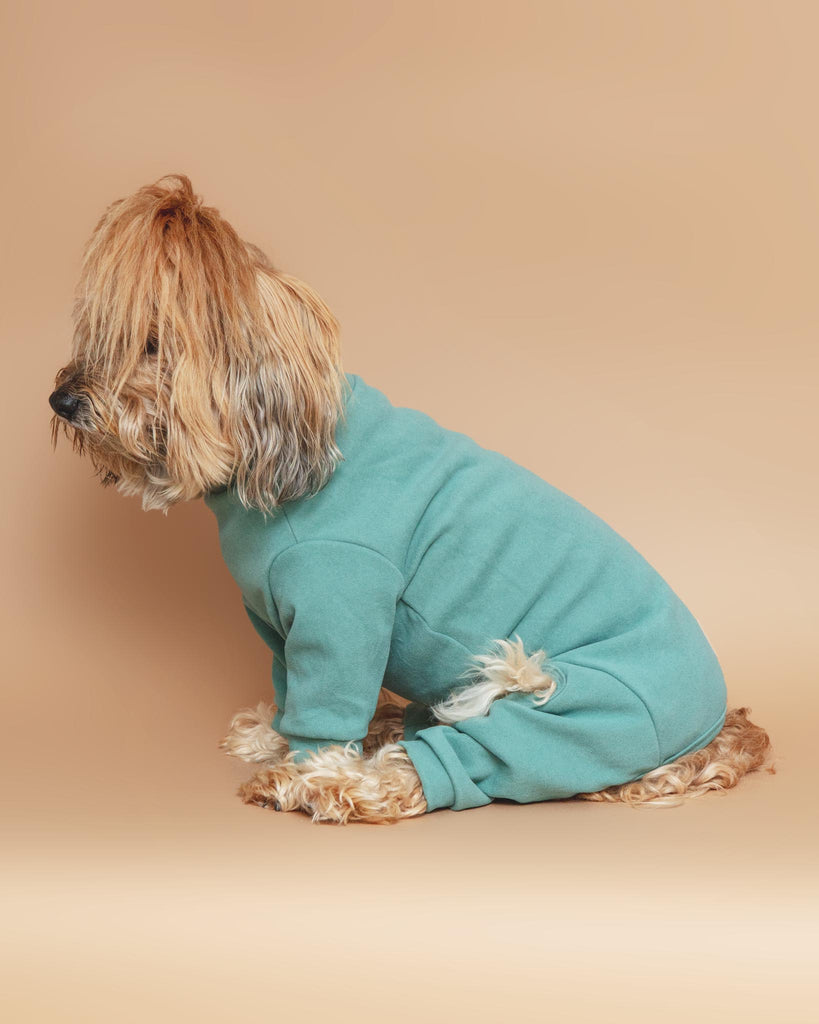 Soft Touch Dog Onesie in Sandstone or Myrtle Green Wear FUZZYARD   