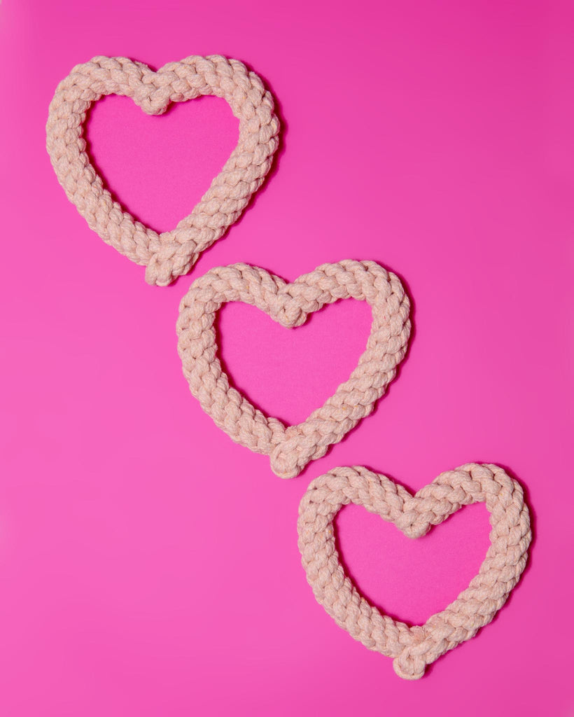 Blush Heart Dog Rope Toy Play KNOTTY PAWS   