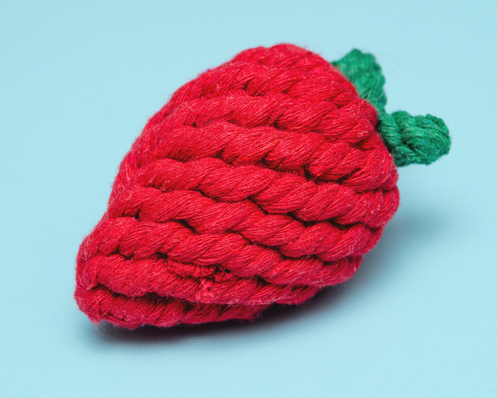 Eco-Friendly Strawberry Rope Dog Toy Play KNOTTY PAWS   