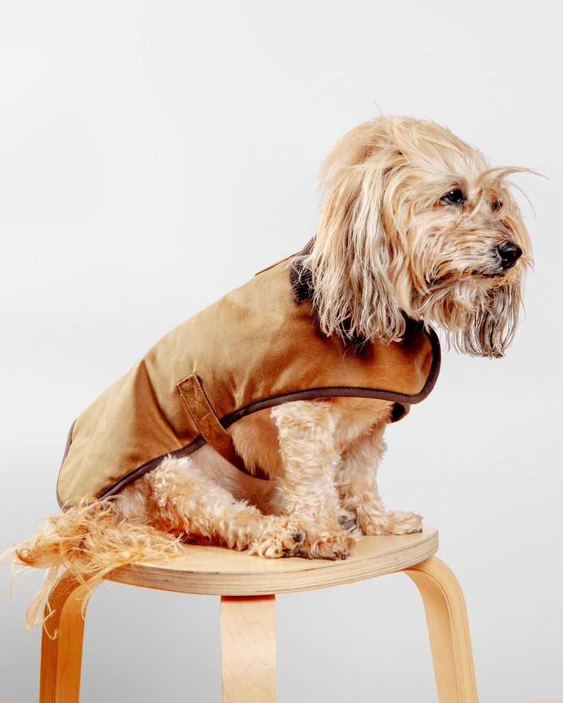 Wax Cotton All Weather Dog Jacket in Beige Wear EARTHBOUND   