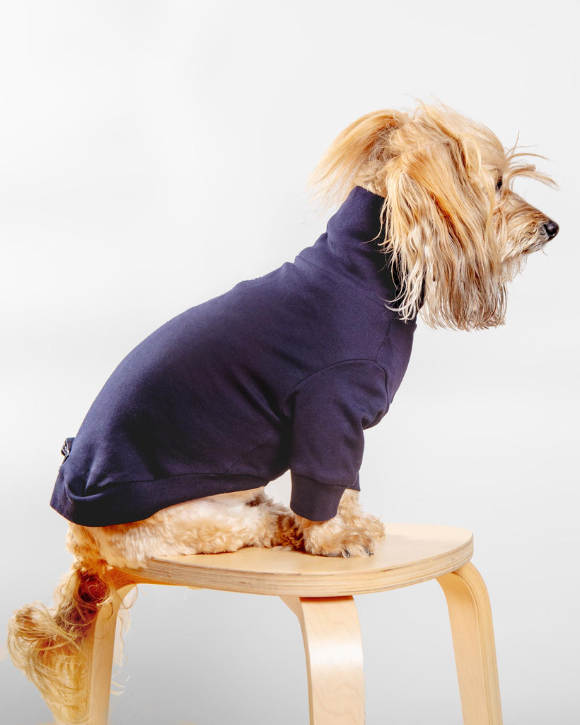 Cotton Pullover Dog T-Shirt in Lavender or Navy Wear COLETTE ET GASTON Navy 2X-Small 
