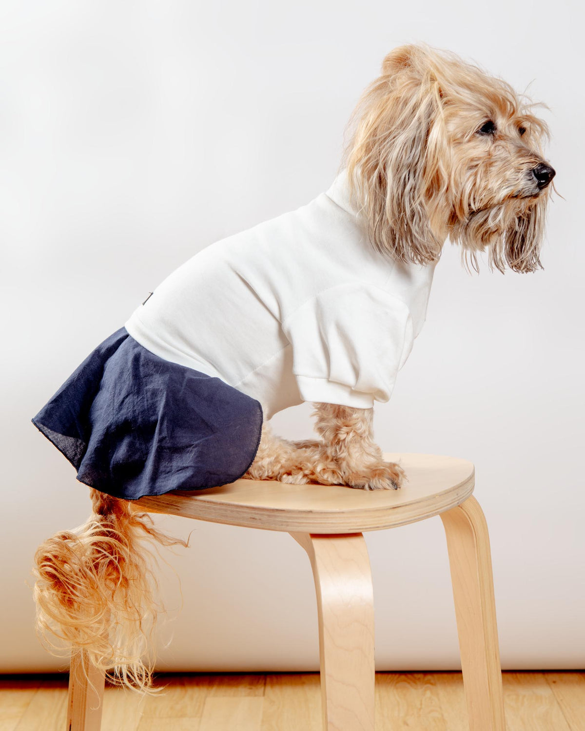 COLETTE ET GASTON Soft Skirt Dog Dress in White & Navy DOG & CO.