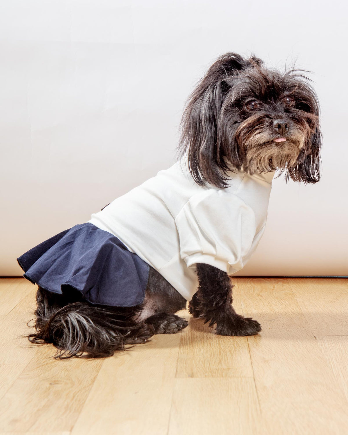 COLETTE ET GASTON Soft Skirt Dog Dress in White & Navy DOG & CO.