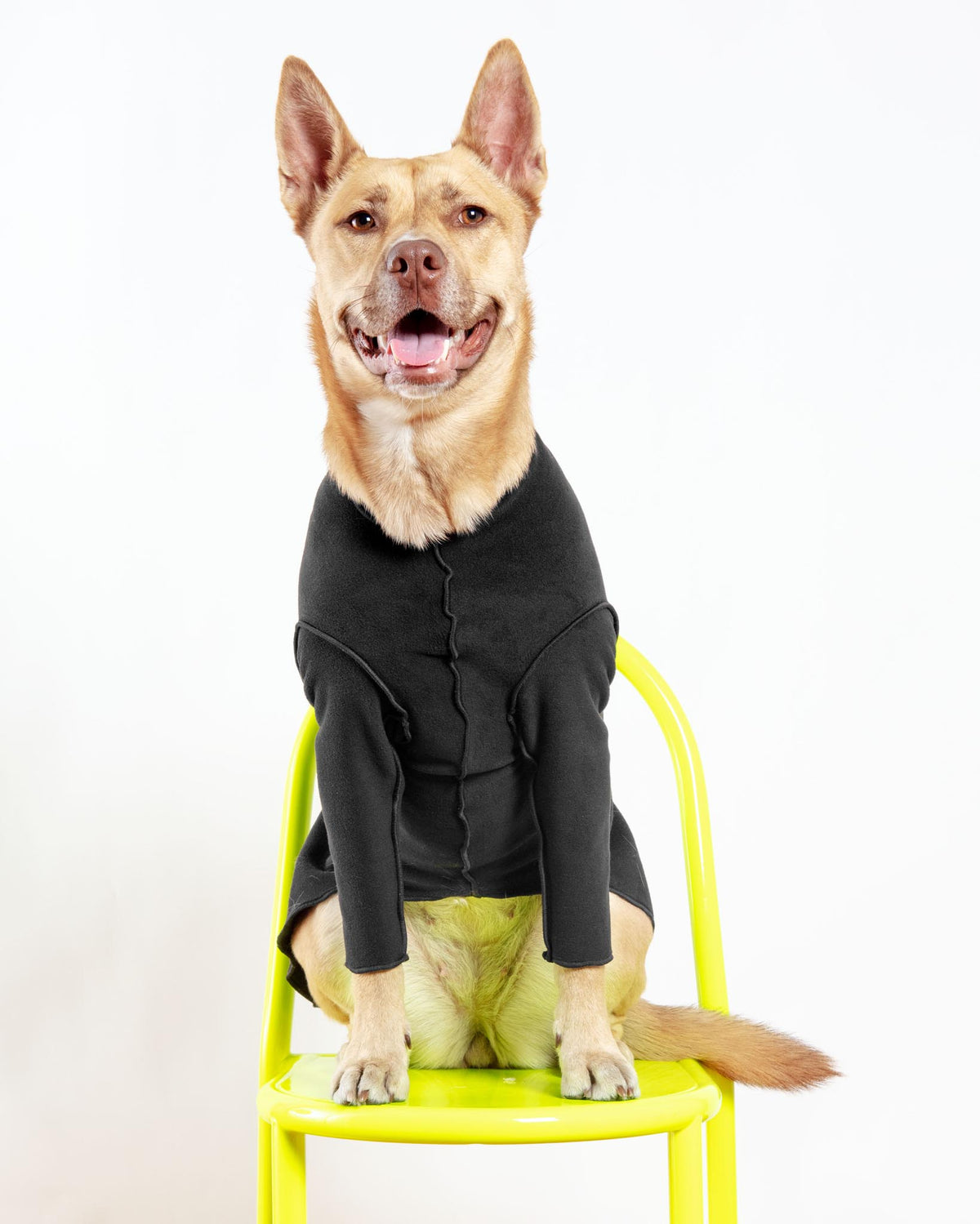GOLD PAW | Turtleneck Pullover Stretch Dog Fleece in Black (Made