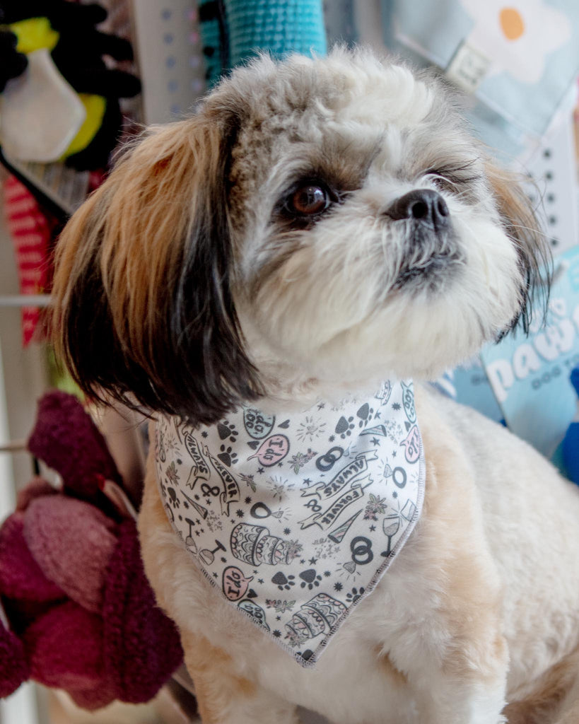 Dog Bandana for Weddings or Engagement (Made in the USA) Wear MODERN COMPANION   