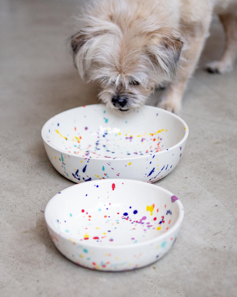 Ceramic Pet Bowl in Confetti (Made in the USA) Eat FELT + FAT   