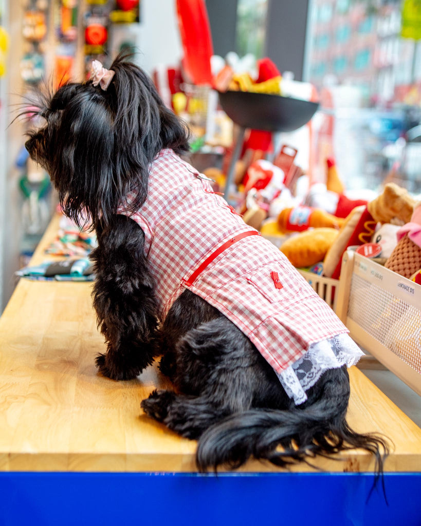 Red Check Picnic Dress for Dogs