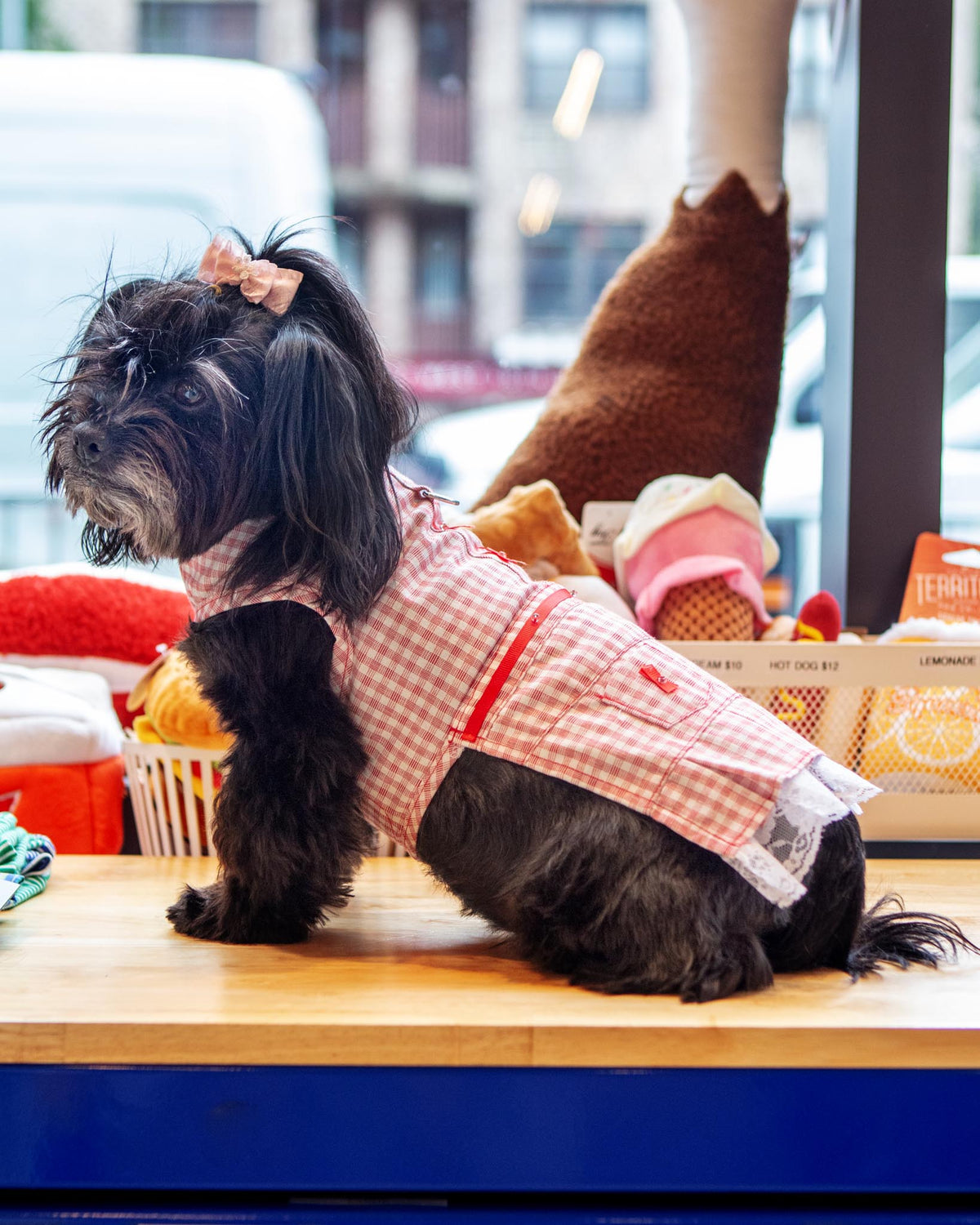 open lace back dress Midlee Strawberry Dog Costume – Midlee Designs