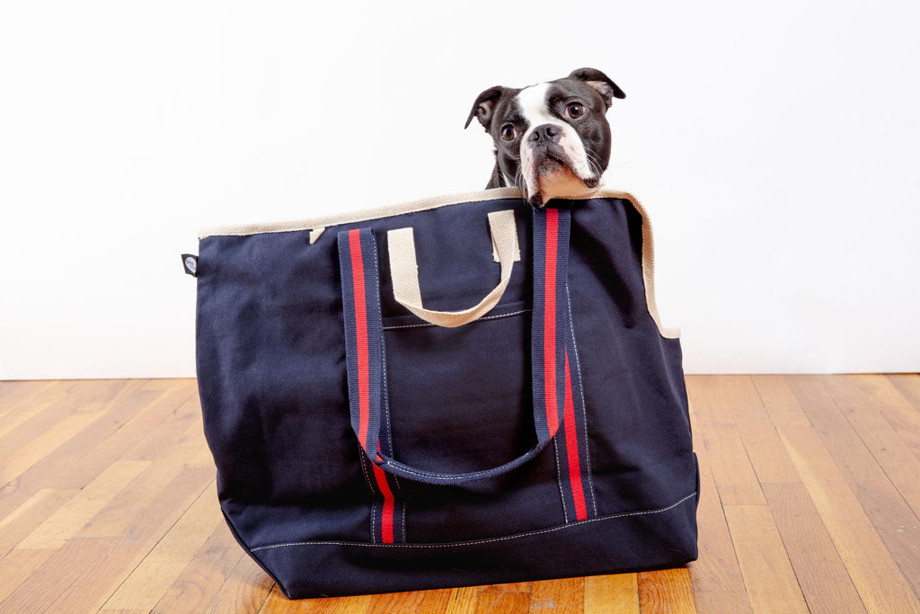 City Carrier Dog Bag in Size 3 Carry DOG & CO. COLLECTION   