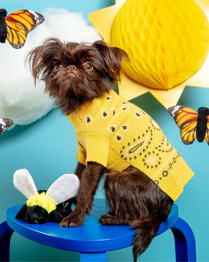 Merino Wool Bandana Print Sweater in Yellow Wear WARE OF THE DOG   