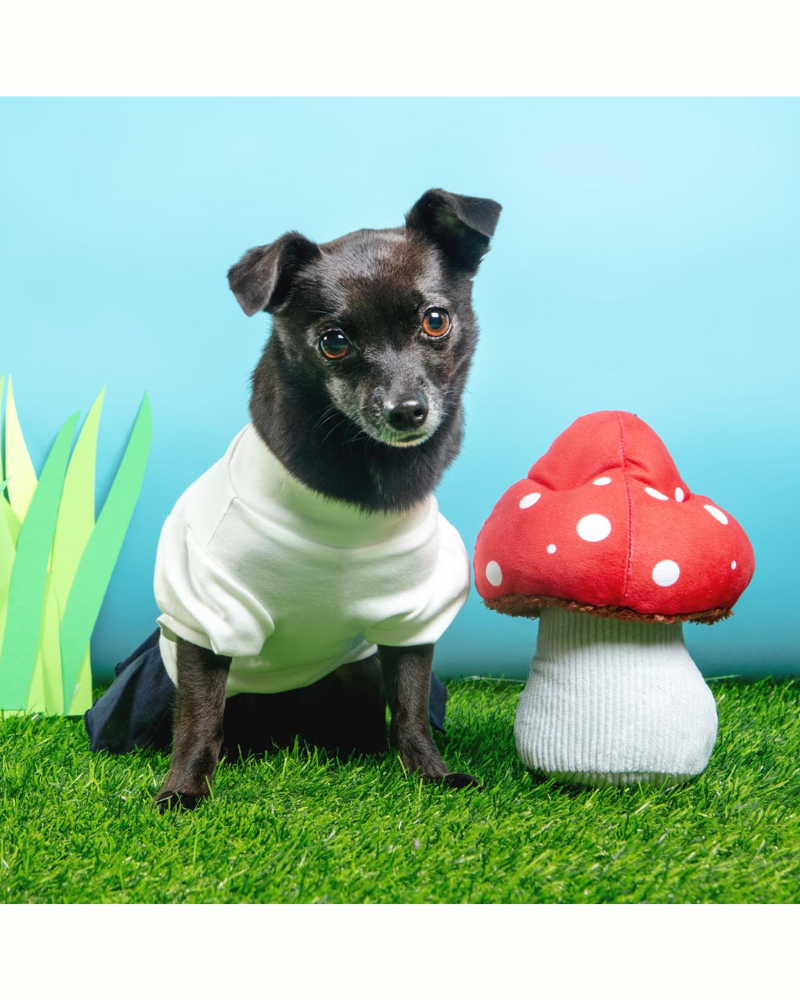 Mutt's Mushroom Squeaky Dog Toy Play P.L.A.Y.   
