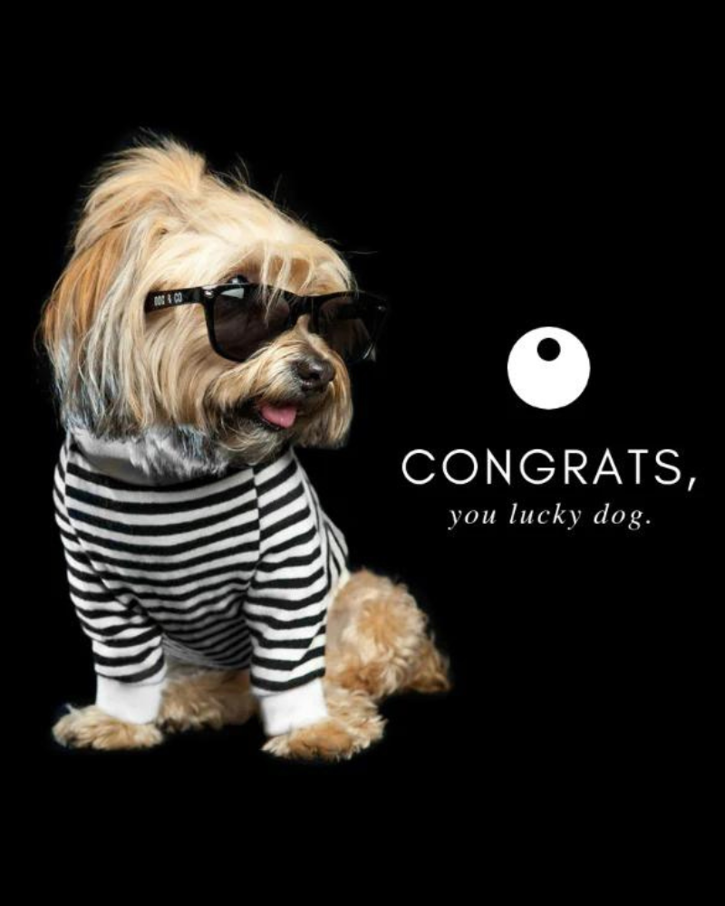 DOG & CO. | Gift Card Gift Card DOG & CO.   
