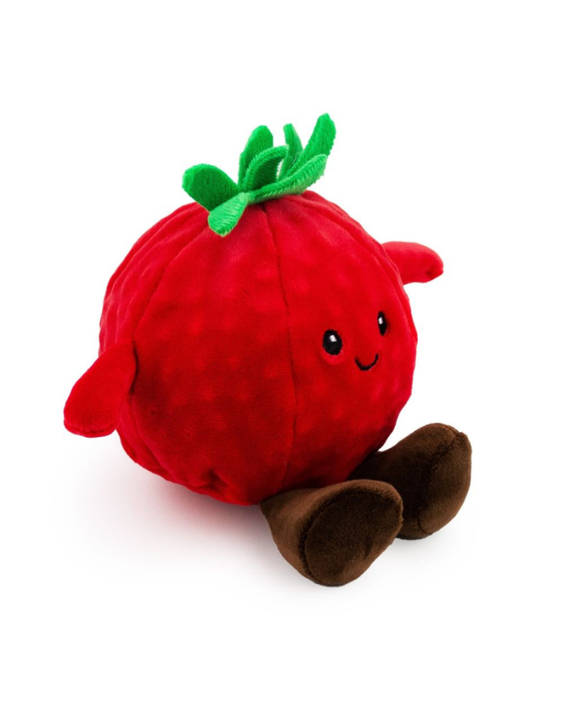 GIFTABLE WORLD | Tommy the Tomato Squeaker Ball Dog Toy (5