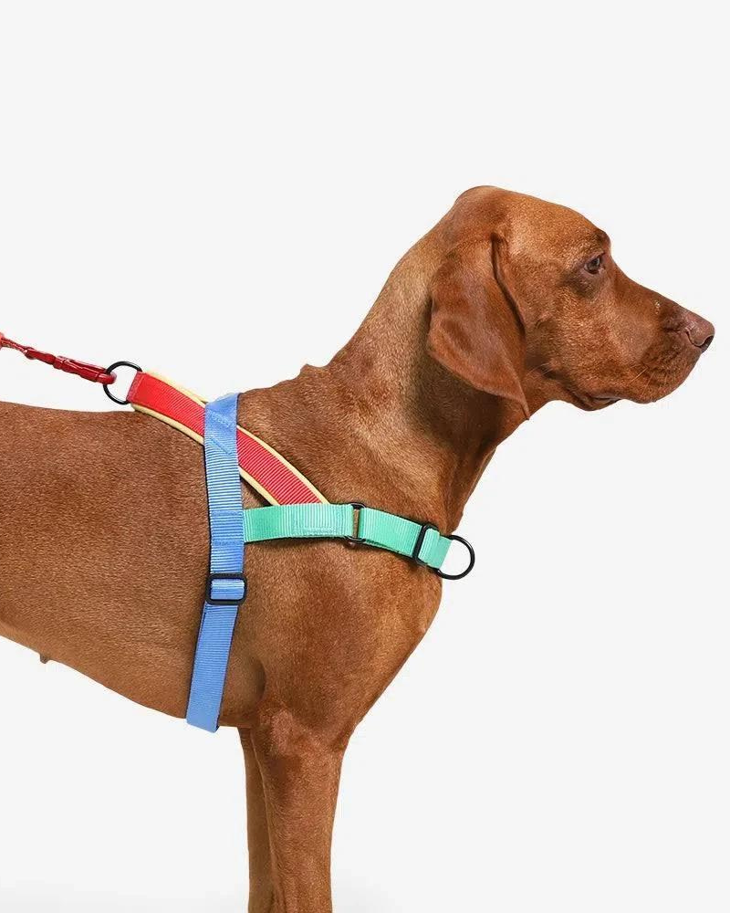 No hot sale dog harness