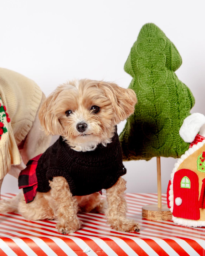 THE WORTHY DOG Turtleneck Sweater Dress for Dogs DOG
