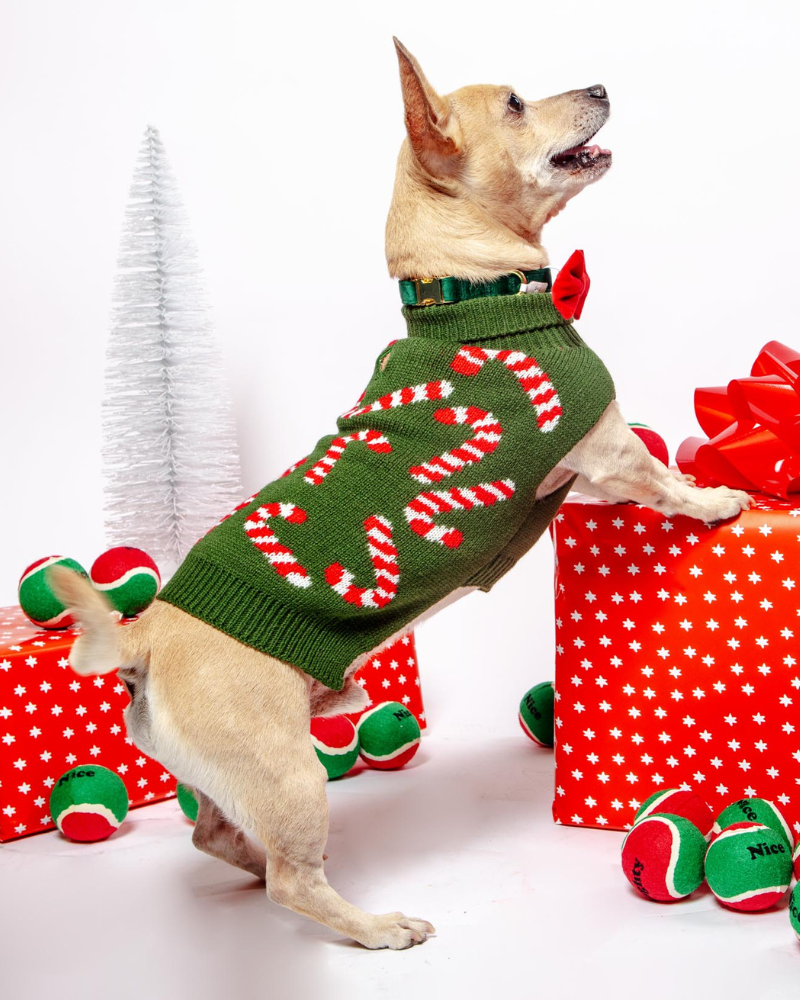 Vintage Candy Cane Holiday Dog Sweater