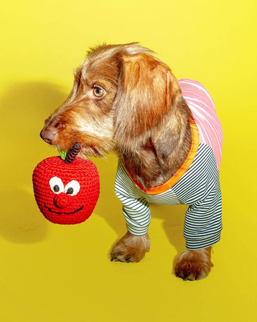 WARE OF THE DOG | Cotton Crochet Apple Dog Toy | DOG & CO.