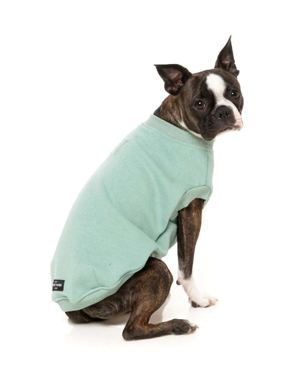 FUZZYARD | All Day Sweatshirt in Mint
