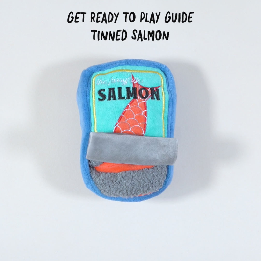 THE FURRY FOLKS | Tinned Salmon Nosework Dog Toy | DOG & CO.