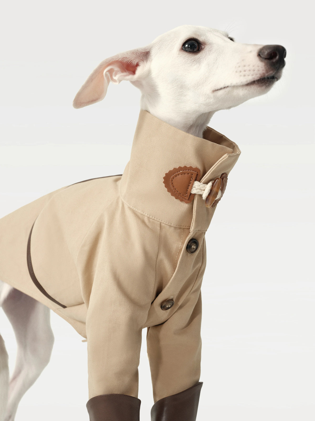 RIIKYU | Classic Toggle Trench Coat for Dogs | DOG & CO.