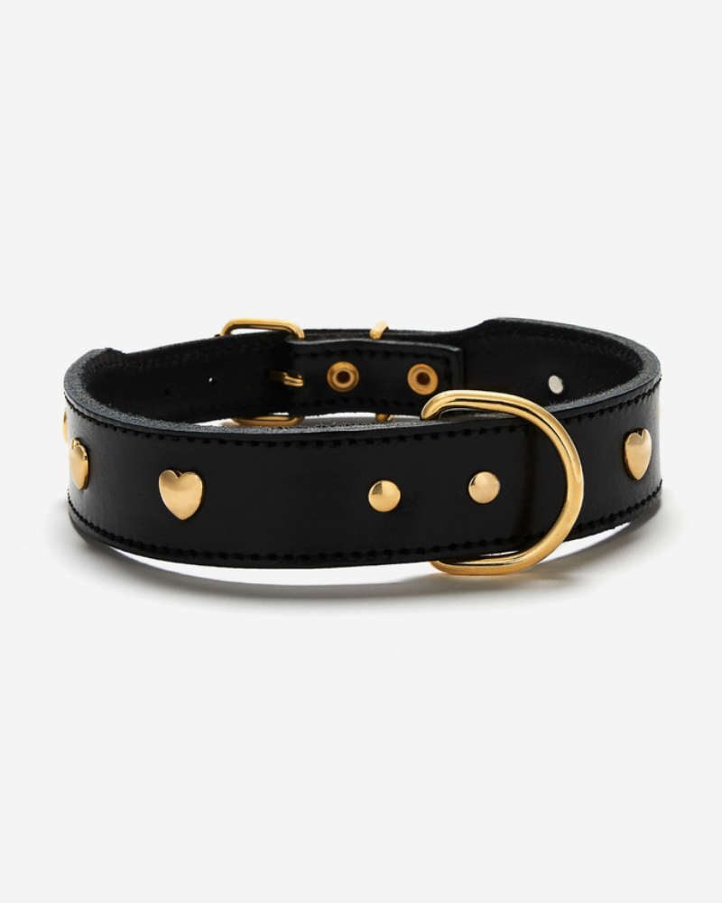 Lily Black Leather Dog Collar with Brass Hearts (Made in Italy) Dog Collar BRANNI   