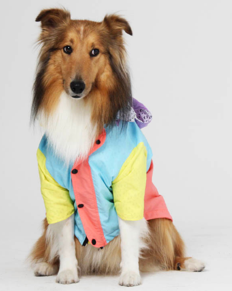 Pastel Water Resistant Dog Raincoat (FINAL SALE) Wear FEROZ   