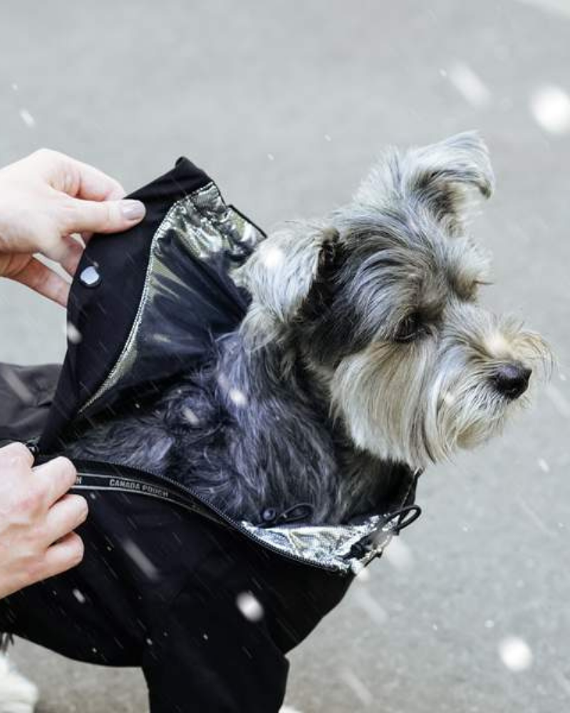 Winter Dog Snowsuit In Black (FINAL SALE) Wear CANADA POOCH   