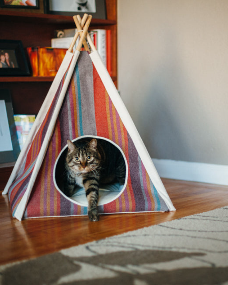 pet teepee tent P.L.A.Y | Horizon Pet Teepee in Desert Stripe (Drop-Ship)