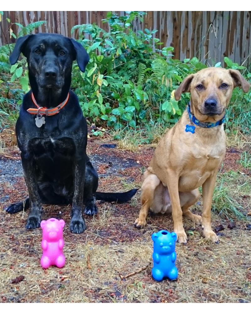 Gummy Bear Crunch Dog Toy (Made in the USA) Play RUFF DAWG   