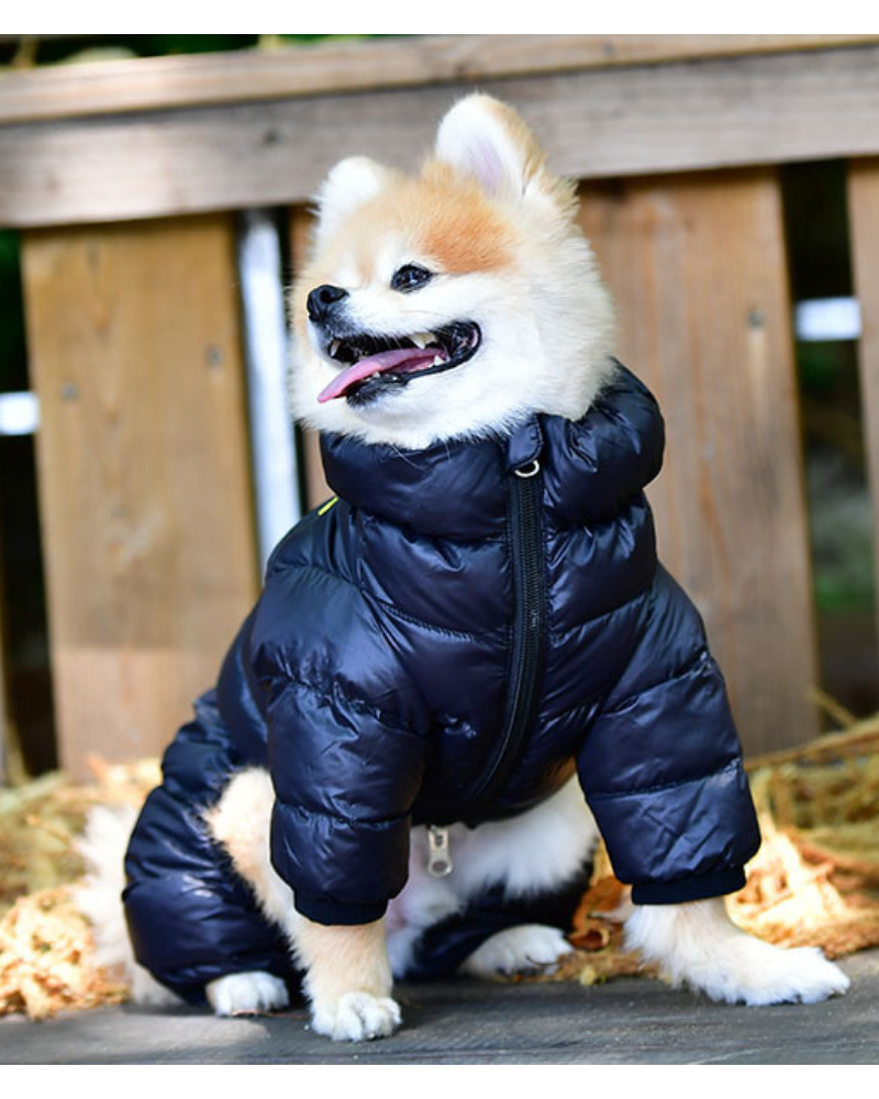 PUPPIA | Ultra Light Winter Puffer Jumpsuit in Black | DOG & CO.