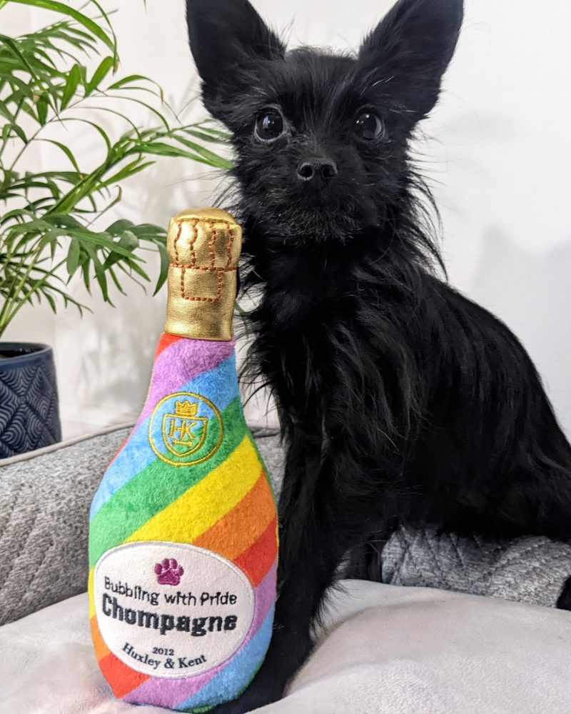 Bubbling With Pride Chompagne Squeaky Plush Dog Toy (FINAL SALE) Play LULUBELLES   