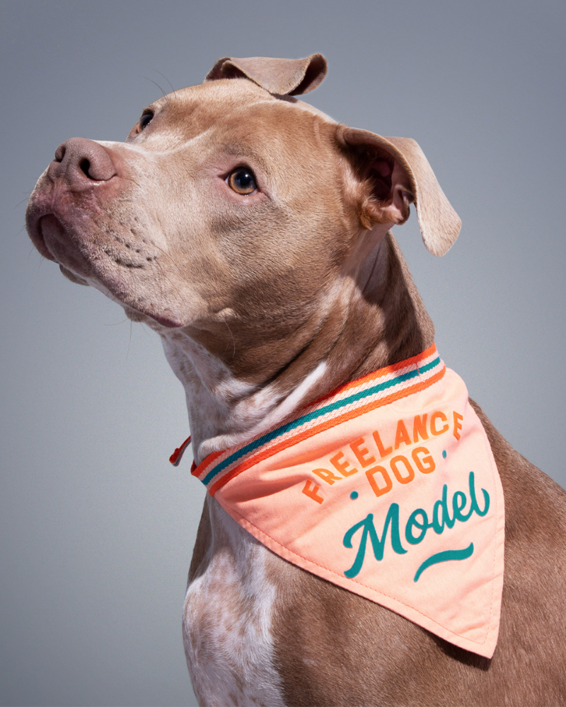 Freelance Dog Model Bandana (FINAL SALE) Wear BRASS MONKEY   