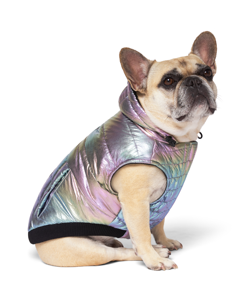 CANADA POOCH Shiny Puffer Dog Coat in Iridescent DOG