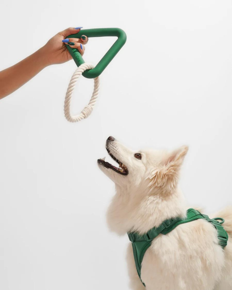 WILD ONE | Triangle Dog Tug Toy | DOG & CO.