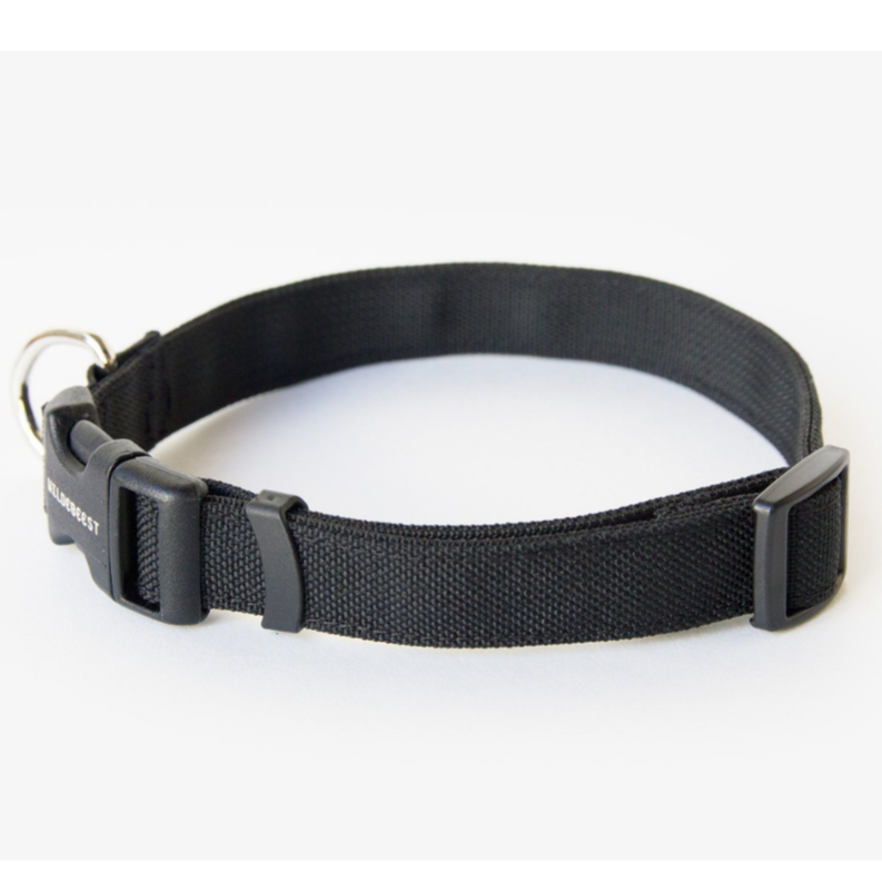 Wildebeest dog deals collar