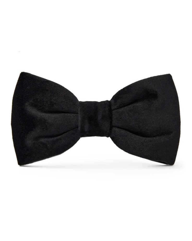 Black Velvet Dog Bow Tie (Made in the USA) Accessories THE FOGGY DOG   