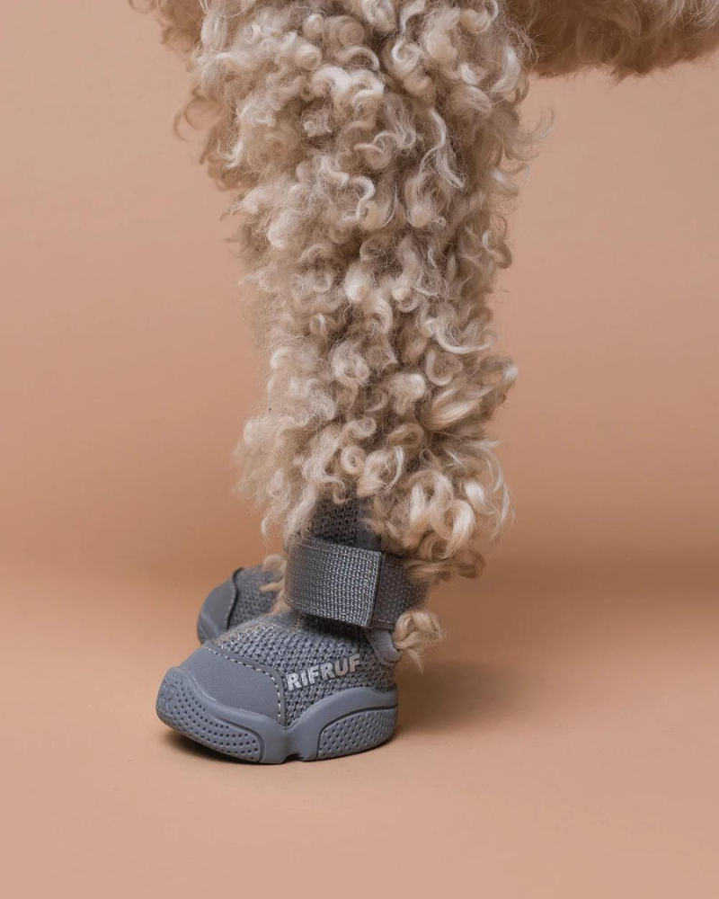 RIFRUF Caesar Dog Sneakers in Black DOG & CO.