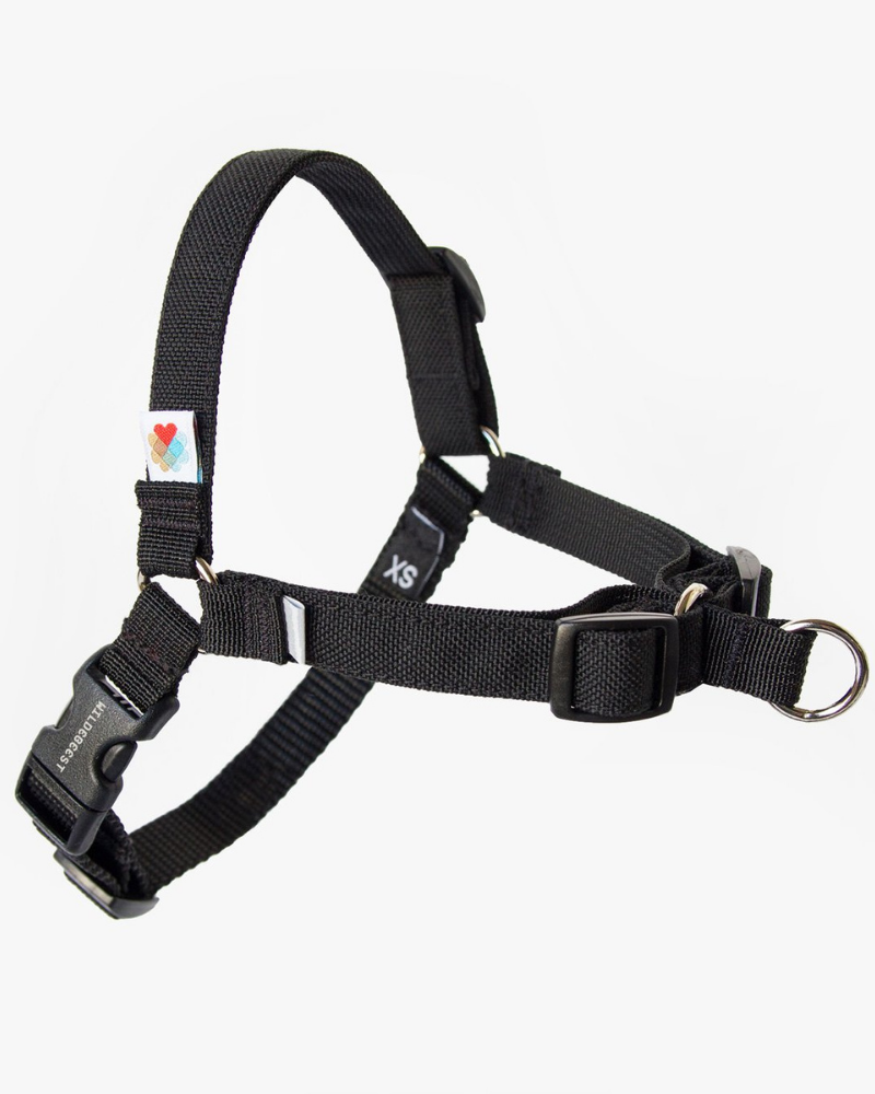 WILDEBEEST Linden No Pull Front Clip Dog Harness DOG CO
