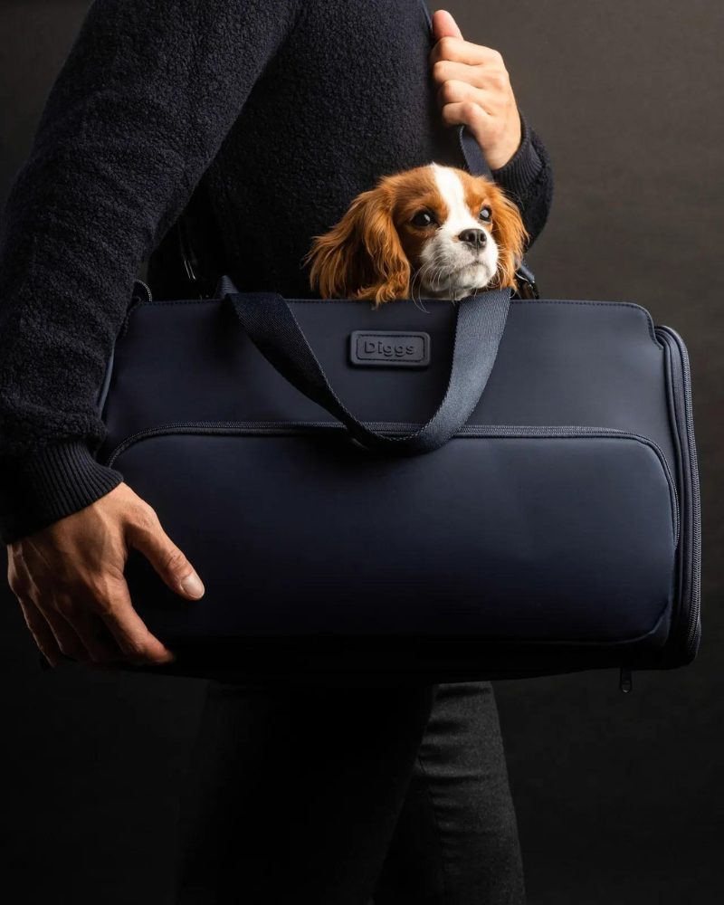 Tumi 2024 dog carrier