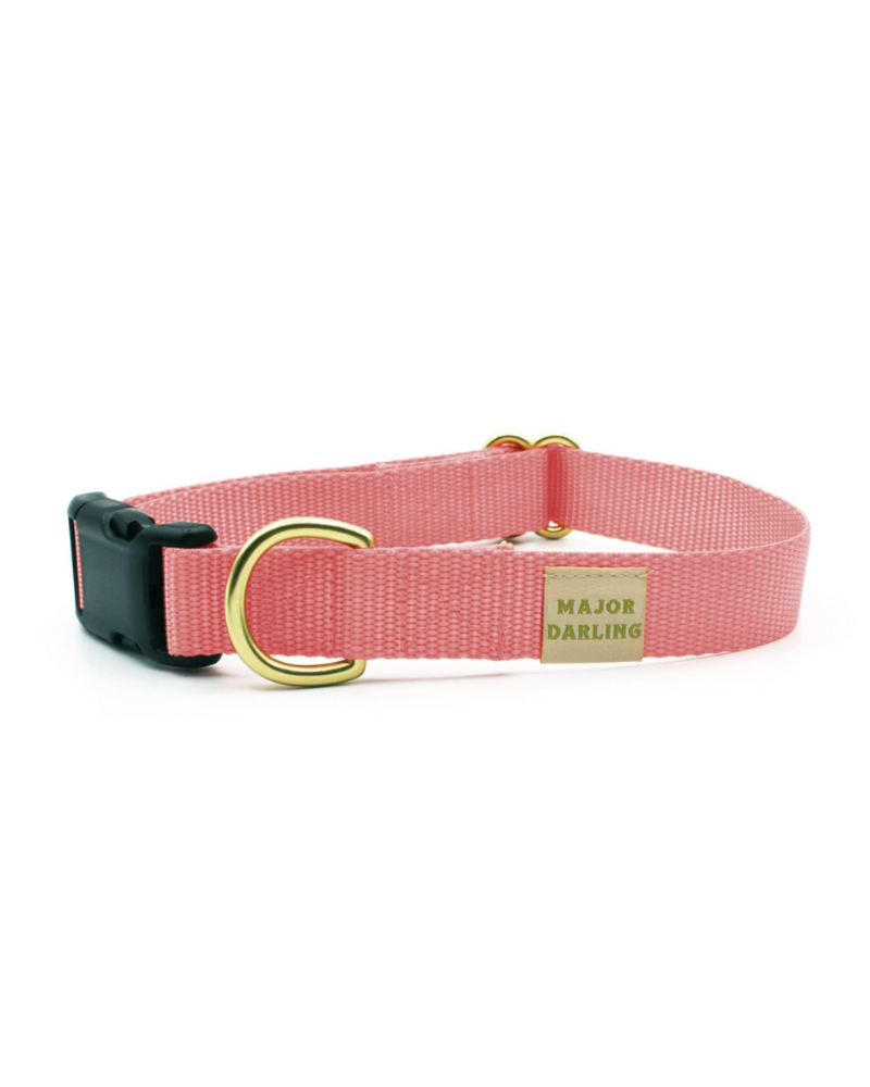 Side-Release Buckle Dog Collar in Pink (Made in the USA) WALK MAJOR DARLING   
