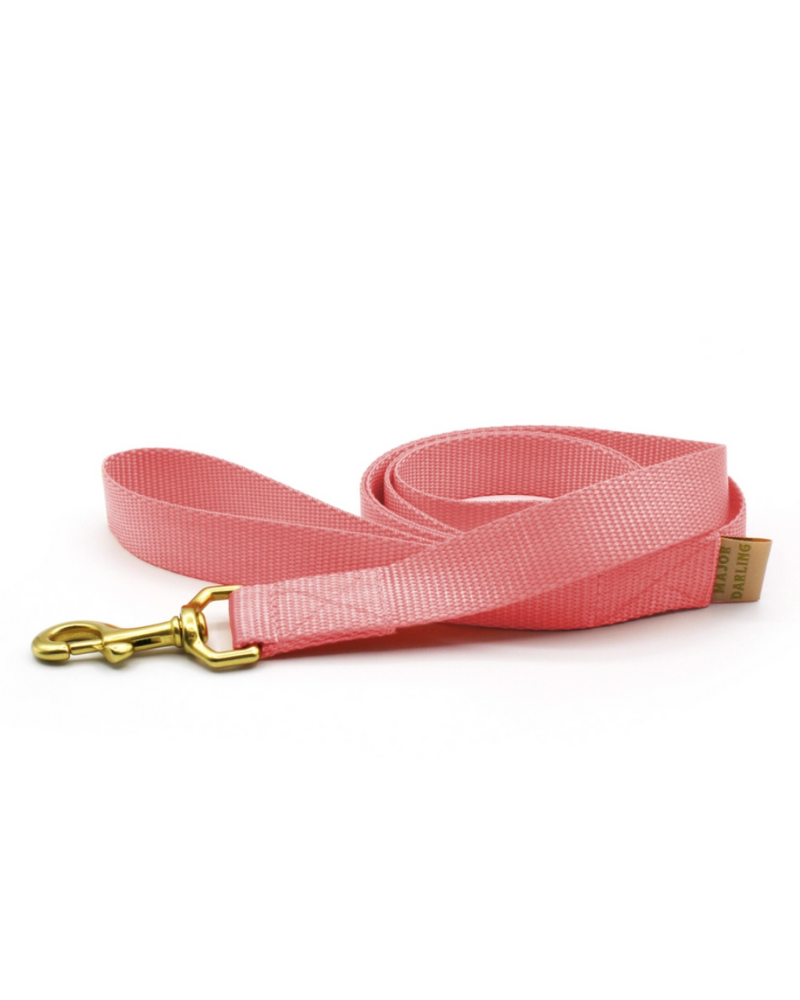 Basic Nylon Dog Leash in Pink (Made in the USA) WALK MAJOR DARLING   